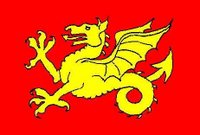 The flag of the Wessex Region as proposed by regionalist parties